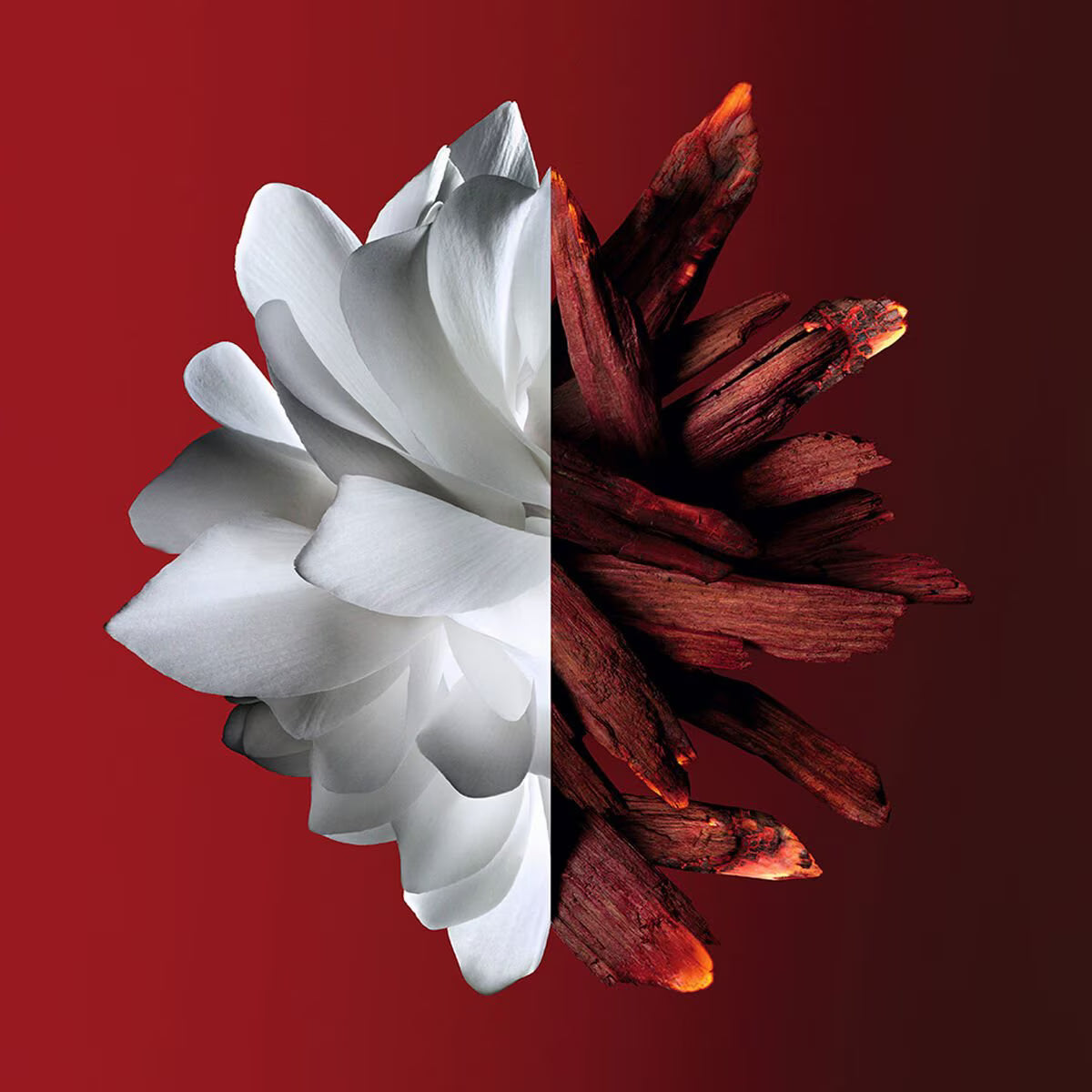 L'Interdit Rouge